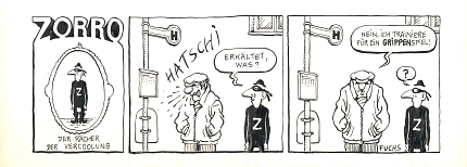 FuchsiZorroStripVercoolung_78.jpg
